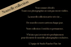 La nouvelle collection arrive bientôt